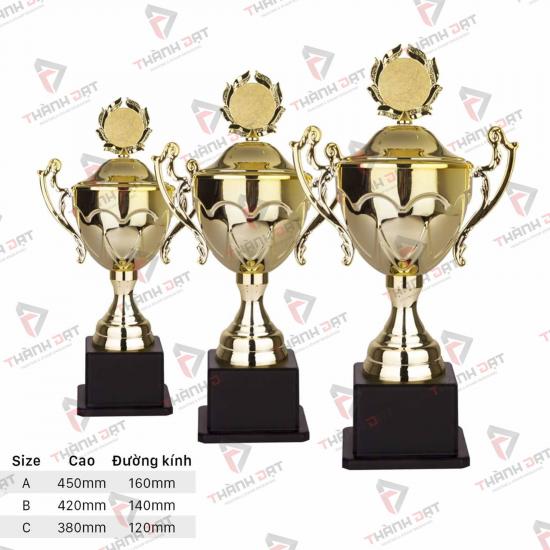 Cúp vàng TĐ1001